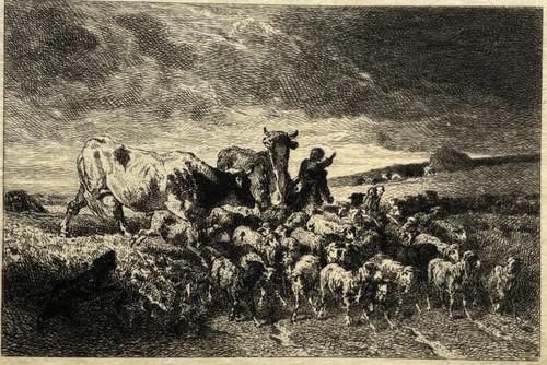 Paysage animaux gravure eau - paysage,