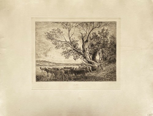 Magnifique gravure engraving