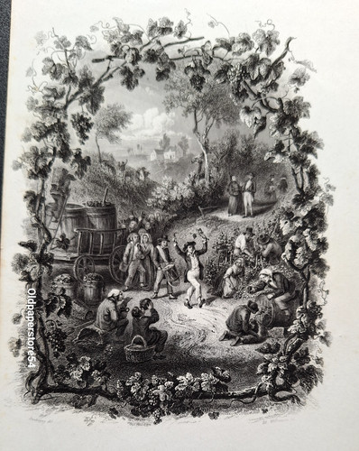 Gravure les vendanges - gravure,