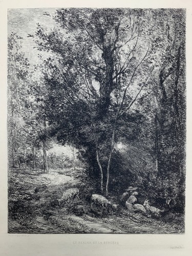 Berger bergère - bergère,