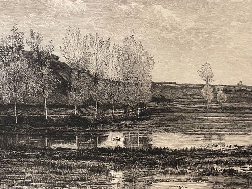 Marais optevoz - marais,