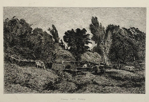 Troupeau vaches paysage - troupeau,