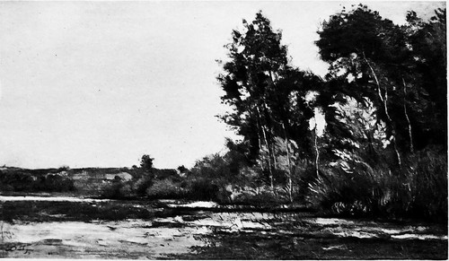 Les roseaux da - les, (da
